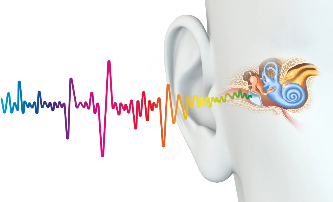 an image of sound waves going into the ear and reaching the cochlea